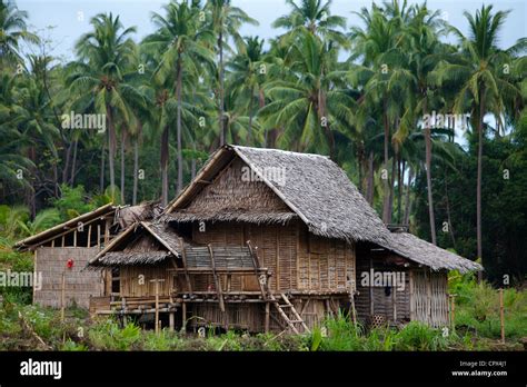 A Typical House In The Forest Negros Philippines Stock Photo Alamy