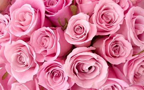 Best Images About Girly Wallpapers On Pinterest Wallpapers Pink Roses