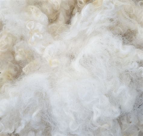 Washed Natural Wool Carded Batts Wool Locks And Accessories