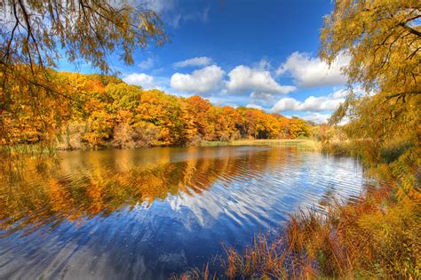 High Park Toronto Ontario - Grenadier Pond | Fall in High Pa… | Flickr