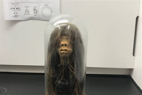 Shrunken Head Displayed In Georgia Was Returned To Ecuador The New
