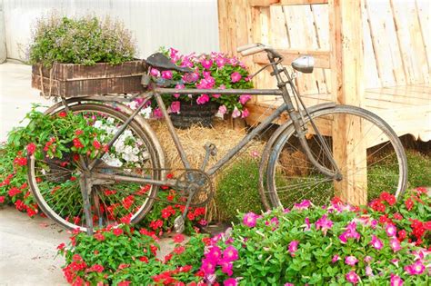 Old Bike And Decorated With Flowers Stock Photo Image Of Decorated