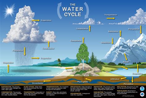 Matter And Energy Cycles Modeling National Geographic Society