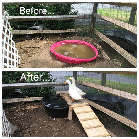 Watch this video to find out how to make a duck pond carnival game for your next party. DIY duck pond with ramp and platform, made from pallets ...