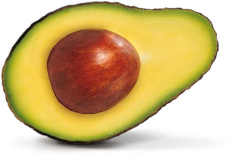 Download Avocado Picture Hq Png Image Freepngimg