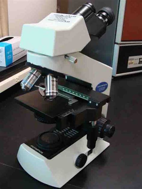 How To Use A Compound Light Microscope