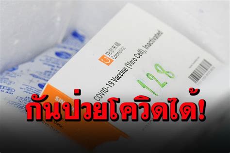 Maybe you would like to learn more about one of these? ต่างประเทศ - ผลวิจัยตุรกีพบวัคซีนซิโนแวคกันป่วยโควิดได้83 ...