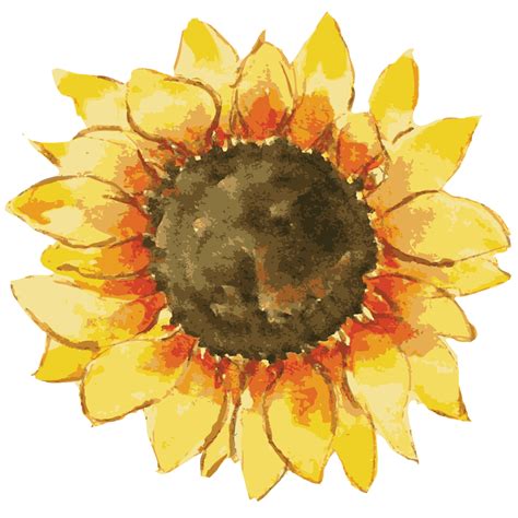Pin by Morgan Milam on FONDOS BONITOS | Watercolor sunflower, Watercolor, Watercolor paper