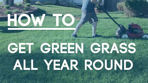 How To Fix An Ugly Lawn Best Tips For Green Grass Youtube