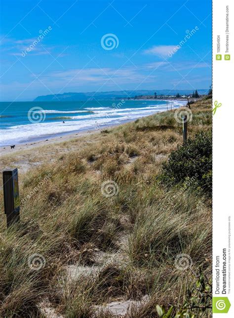 Spiaggia Della Nuova Zelanda Di Estate Fotografia Stock Immagine Di