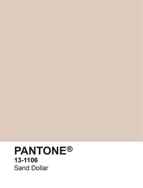 Pantone Sand Dollar Pantone Palette Pantone Colour Palettes Pantone