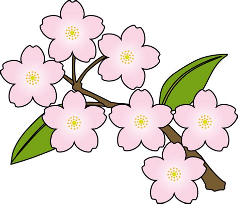 Cherry Blossom Clipart Best