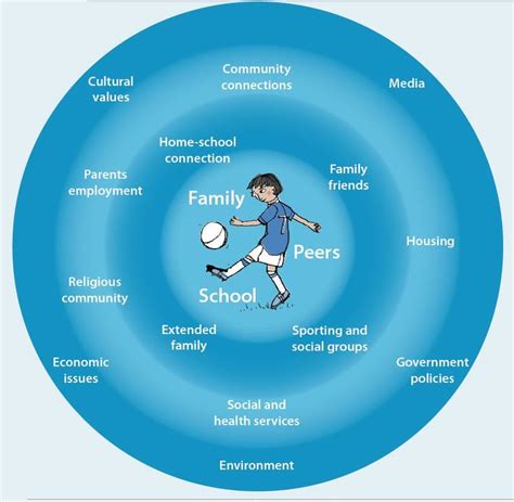 Vidyas Phoenix Psychology Of Teaching And Learning Factors