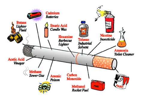world of facts smoking effects preventable