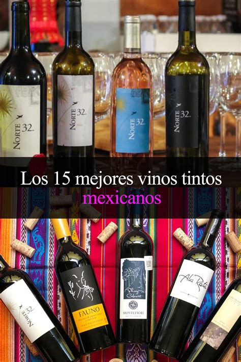 Los 15 mejores vinos tintos mexicanos que tienes que tomar - Tips Para Tu Viaje