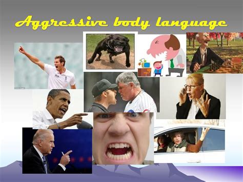 Ppt Body Language Powerpoint Presentation Free Download Id5069922