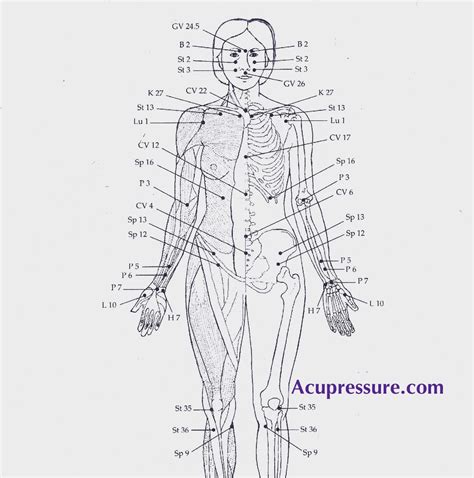 Advanced Acupressure Instruction Therapy Point Formulas