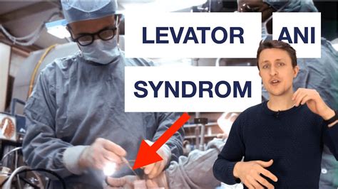 Levator Ani Syndrom Symptome Behandlung Youtube