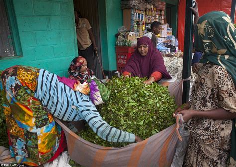 The Appalling Fate Of Yemen And Somalias Khat Addicts Revealed Daily Mail Online
