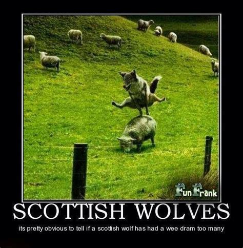 A Wee Bit Of Scottish Humor Scotland Funny Scottish Quotes Scottish