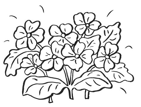 Wenn sie die papierblumen basteln mit kindern kleben sie die herzblütenblätter mit. Ausmalbilder Blumen Für Kinder - Kinder Ausmalbilder