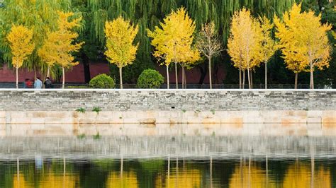 China Autumn Museum Bing Wallpaper Download