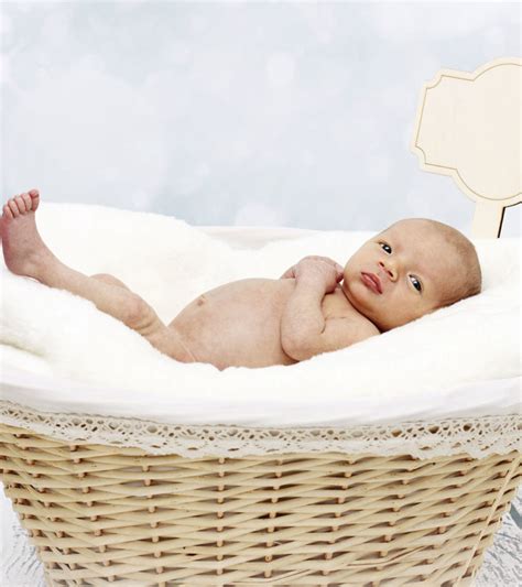 10 Best Moses Baby Baskets To Choose From In 2021