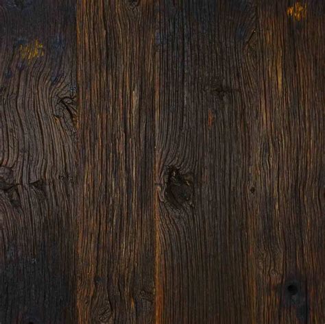 Maybe you would like to learn more about one of these? Vieux Chêne 3OO ans / Old Oak 300 years | Vieux chêne ...