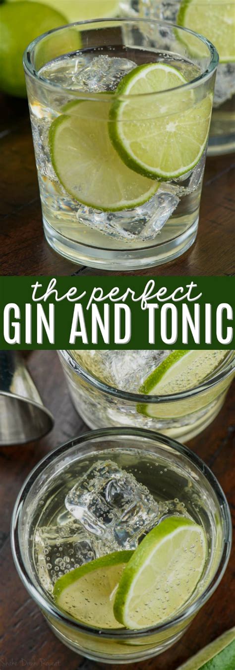 The Perfect Gin And Tonic Recipe Shake Drink Repeat