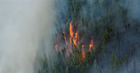 Alaska Threatened By Record Breaking Blazes Field And Stream