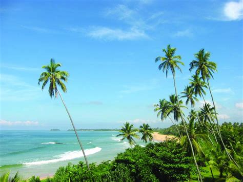 Fans van kalme wateren, evenals reizigers met kinderen, zwemmen graag in het rustige, transparante water en bewonderen de ongelooflijk mooie koraalriffen. Beaches - In Sri Lanka | World Travel Fair