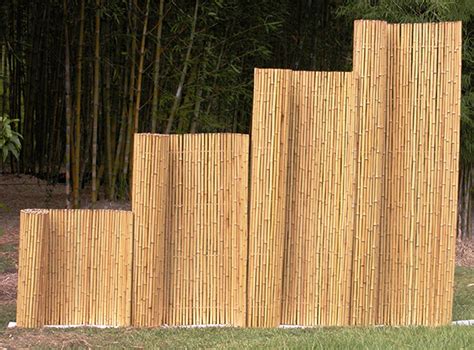 Bamboo Fences And Screens Bamboo Australia Sunshine Coast