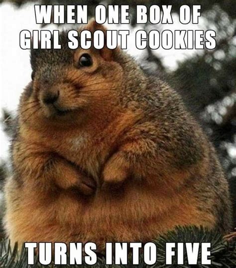 When One Box Of Girl Scout Cookies Turns Into Five Pictures Photos