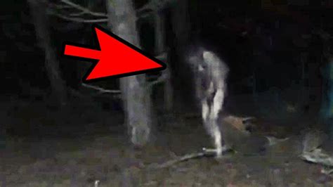 5 Mysterious Creatures Caught On Camera Top 5 Strange Creatures Youtube