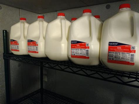 I Bought 10 Gallons Of Milk For My Work Today All But One Have The