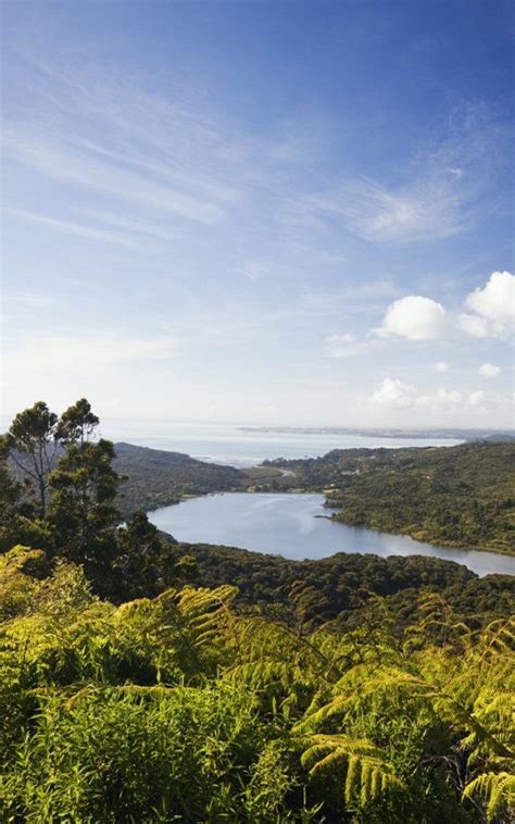 View Of The Waitakere Ranges Regional Park From Arataki Visitors Centre