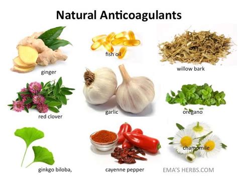 Natures Anti Coagulants Or Blood Thinners Ginger Red Clover