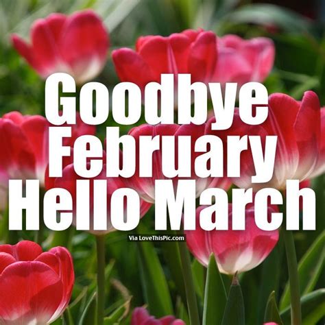 Goodbye February Hello March Hello March Quotes Hello February