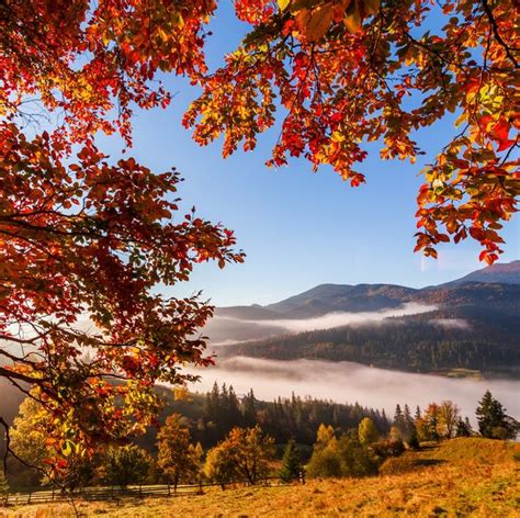 35 Beautiful Fall Pictures Best Photos Of Fall Foliage