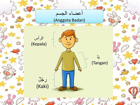 Bahasa Arab Perut Studyhelp