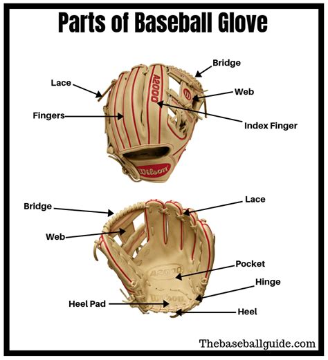 How To Measure Hand Size For Baseball Gloves Images Gloves And