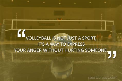 12 Inspirational Quotes By Famous Volleyball Players Richi Quote