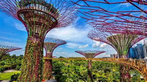 Gardens by the Bay, Supertrees - Greenroofs.com
