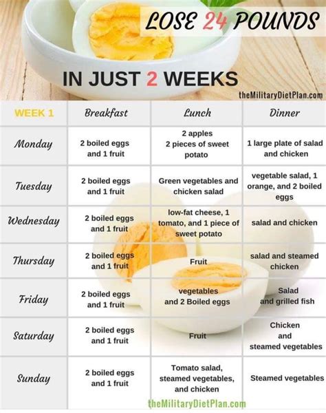 Printable Dr Now Diet Sheet Customize And Print