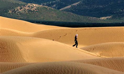 Desertification An Ecological Reality Or A Dangerous Myth John Magrath The Guardian