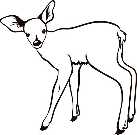 Fawn Outline By Molumen Outline Drawings Animal Drawings Deer Outline