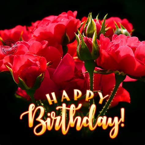 Maybe you would like to learn more about one of these? Roses Birthday Cards