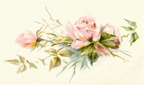 Antique Images Free Flower Graphic Vintage Pink Rose