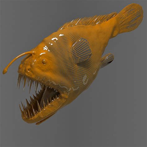 3d Angler Fish Model