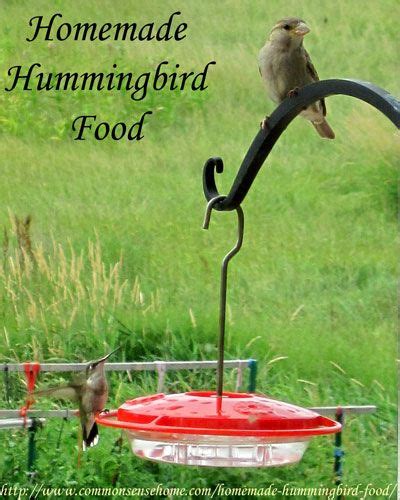 Homemade Hummingbird Food Recipe And The Best Hummingbird Feeder